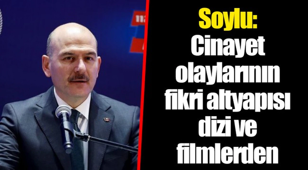 Soylu: Cinayet olaylarının fikri altyapısı dizi ve filmlerden