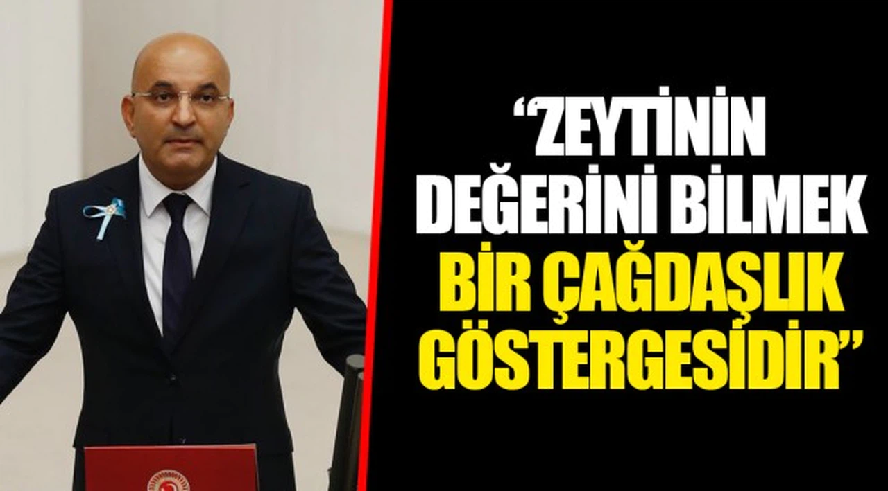 “ZEYTİNİN DEĞERİNİ BİLMEK BİR ÇAĞDAŞLIK GÖSTERGESİDİR”