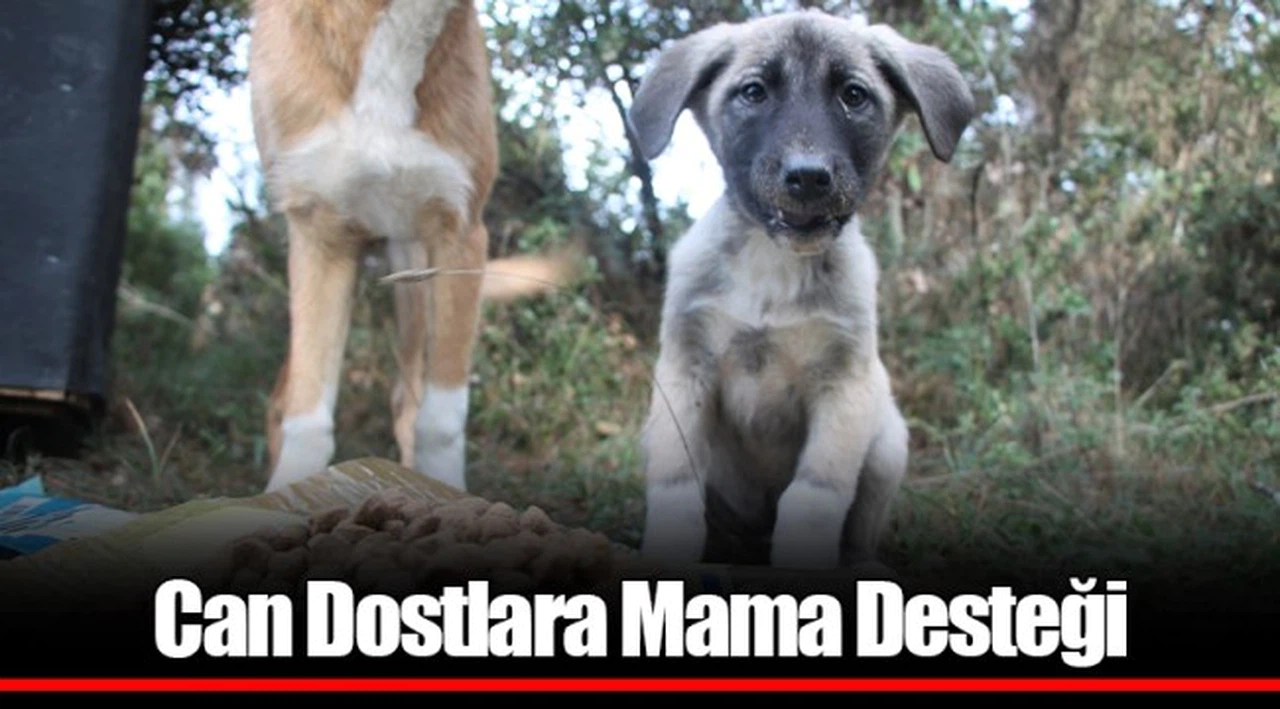 Can Dostlara Mama Desteği