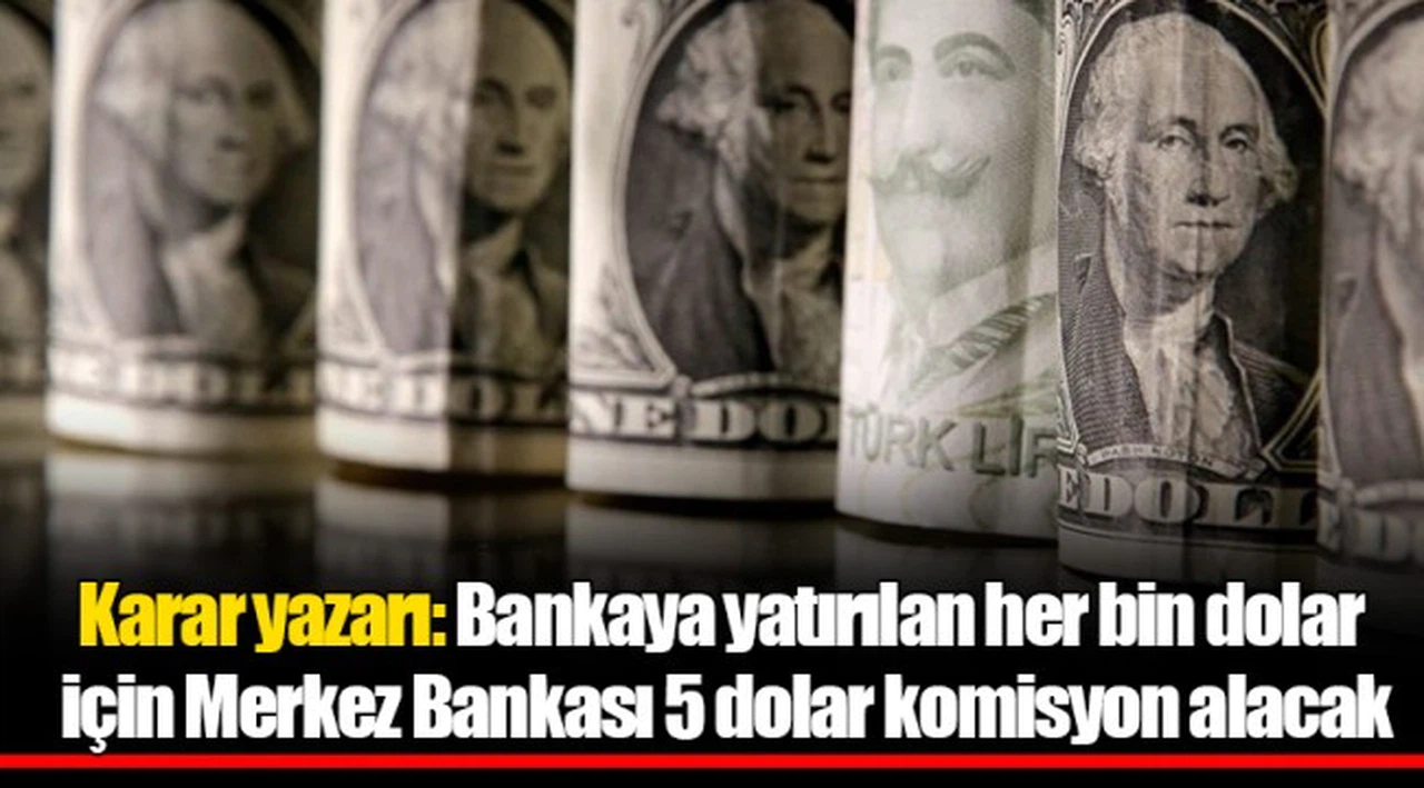 Karar yazarı: Bankaya yatırılan her bin dolar için Merkez Bankası 5 dolar komisyon alacak