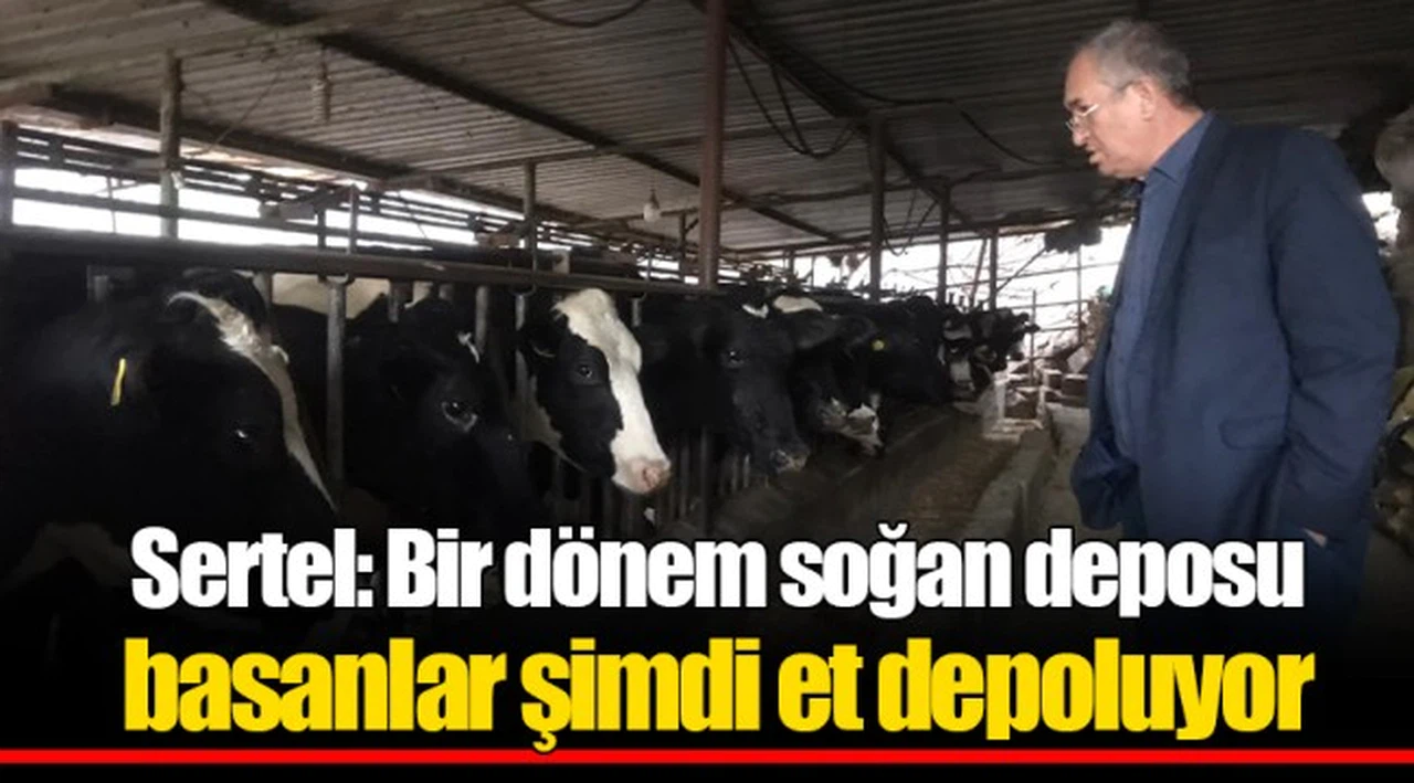 Sertel: Bir dönem soğan deposu basanlar şimdi et depoluyor