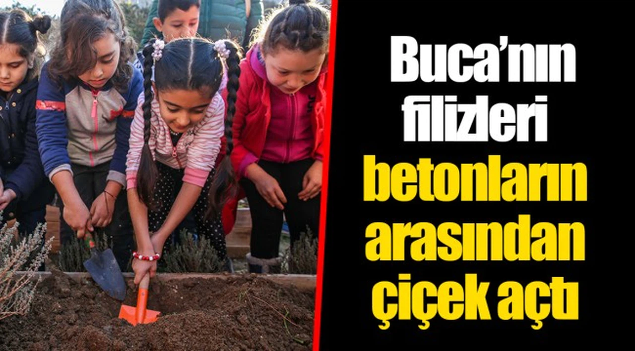  Buca’nın filizleri betonların arasından çiçek açtı 