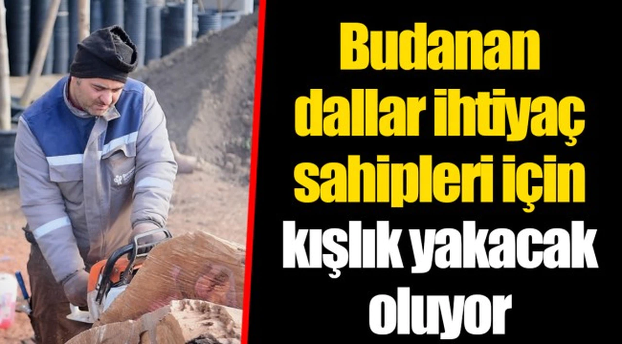 Budanan dallar ihtiyaç sahipleri için kışlık yakacak oluyor 