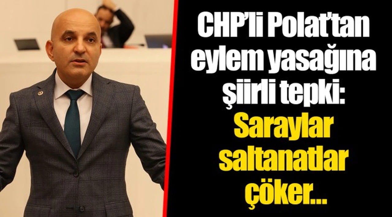 CHP'li Polat'tan eylem yasağına şiirli tepki: Saraylar saltanatlar çöker…