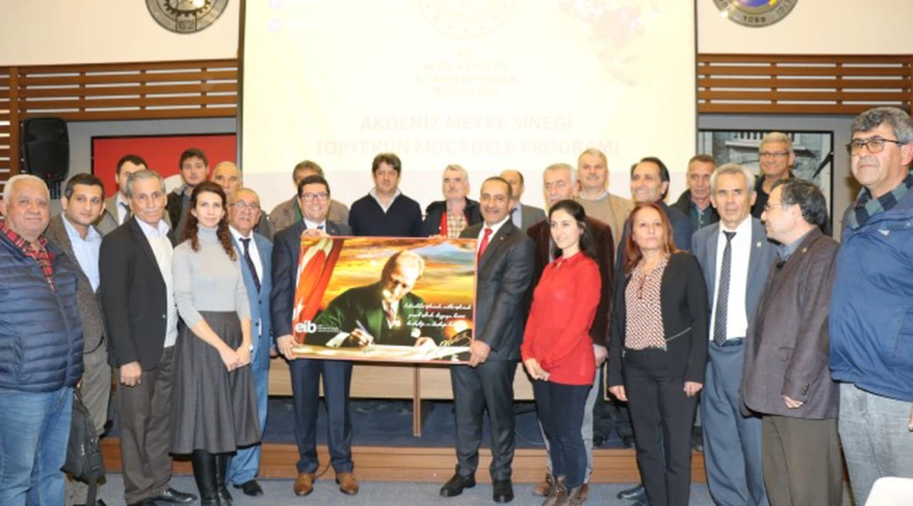 İhracatta toleransı sıfır olan Akdeniz Meyve Sineği ile topyekun mücadele başlatıldı