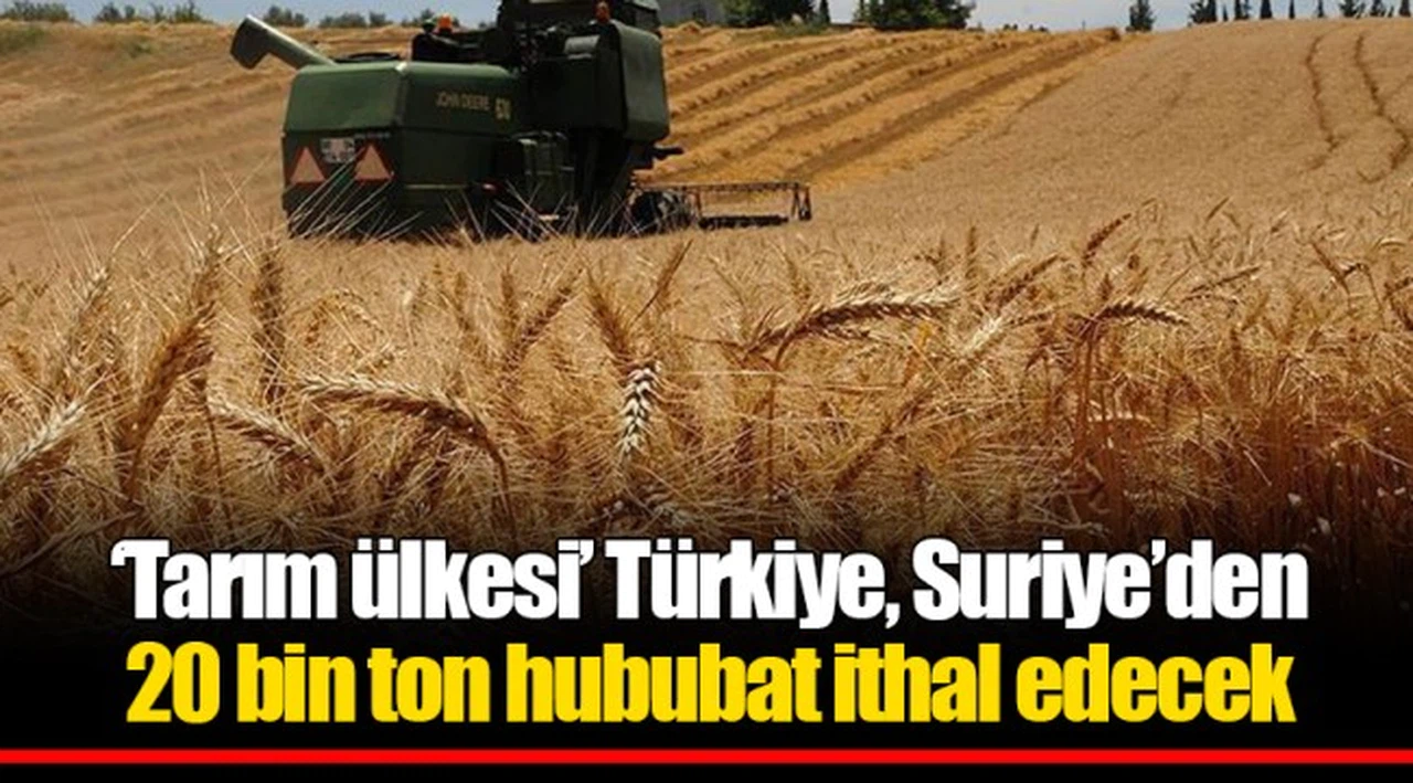 'Tarım ülkesi' Türkiye, Suriye'den 20 bin ton hububat ithal edecek