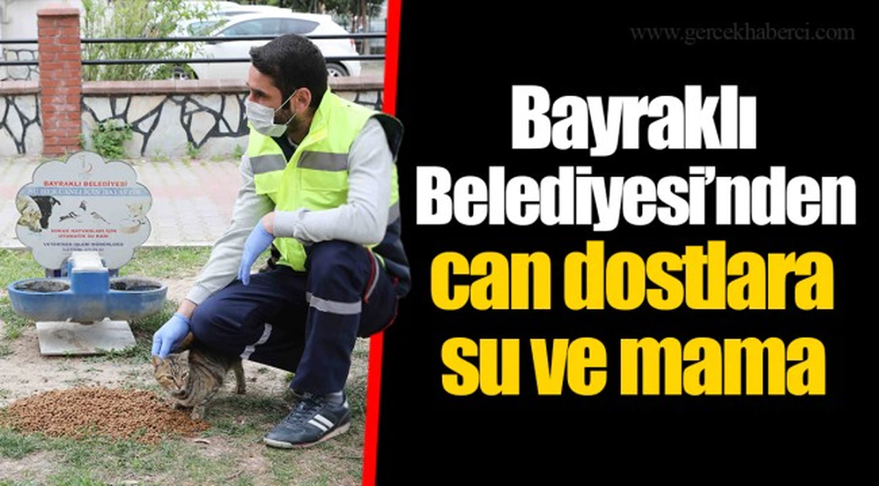 Bayraklı Belediyesi’nden can dostlara su ve mama