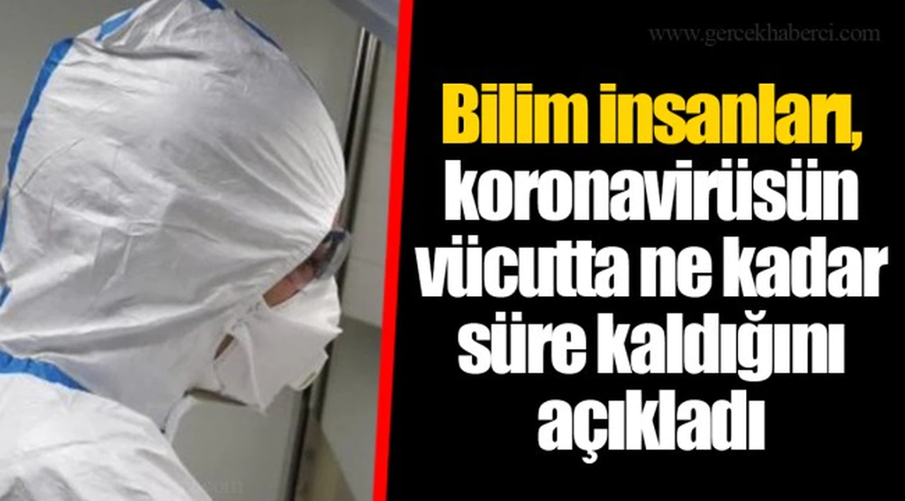 Bilim insanları, koronavirüsün vücutta ne kadar süre kaldığını açıkladı