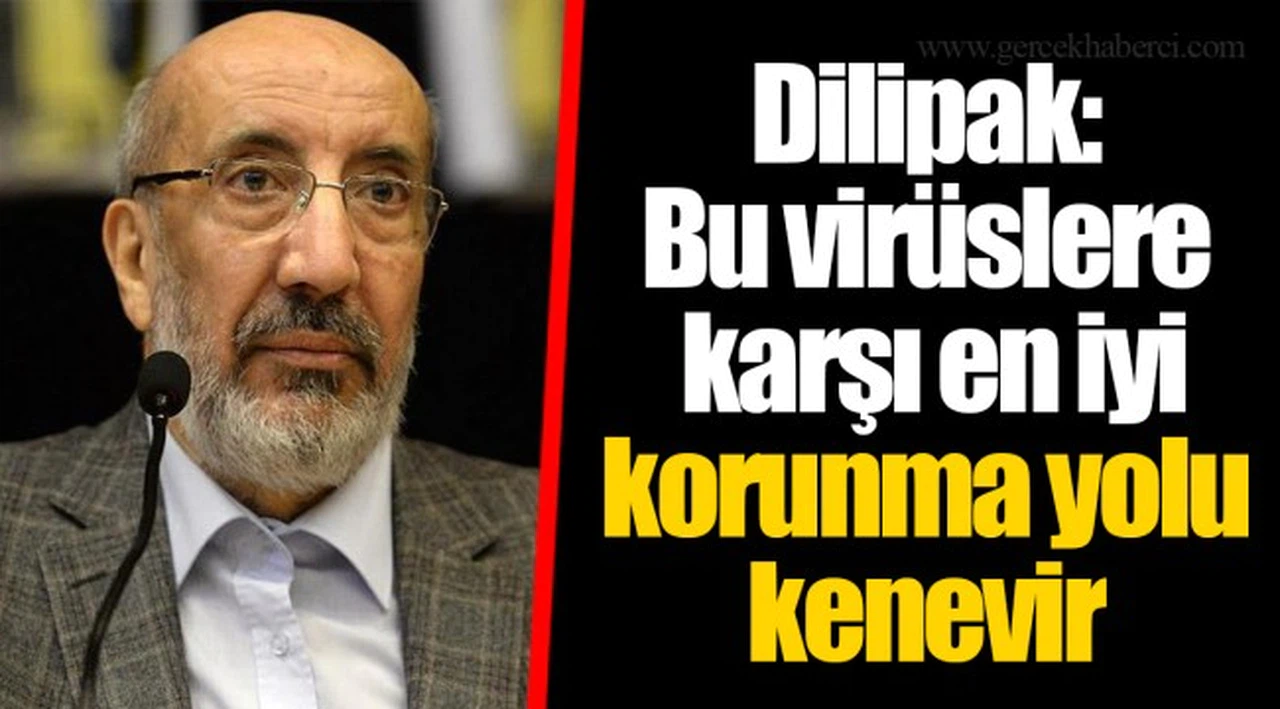 Dilipak: Bu virüslere karşı en iyi korunma yolu kenevir