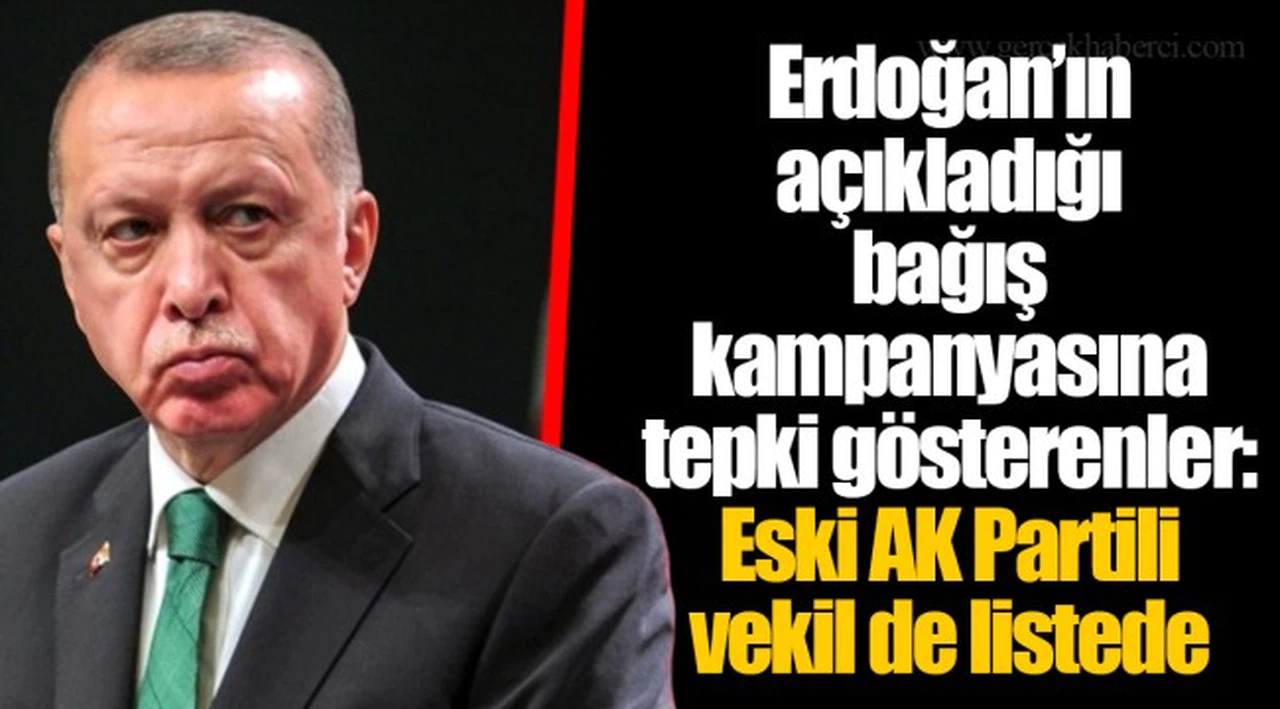 Erdoğan’ın açıkladığı bağış kampanyasına tepki gösterenler: Eski AK Partili vekil de listede