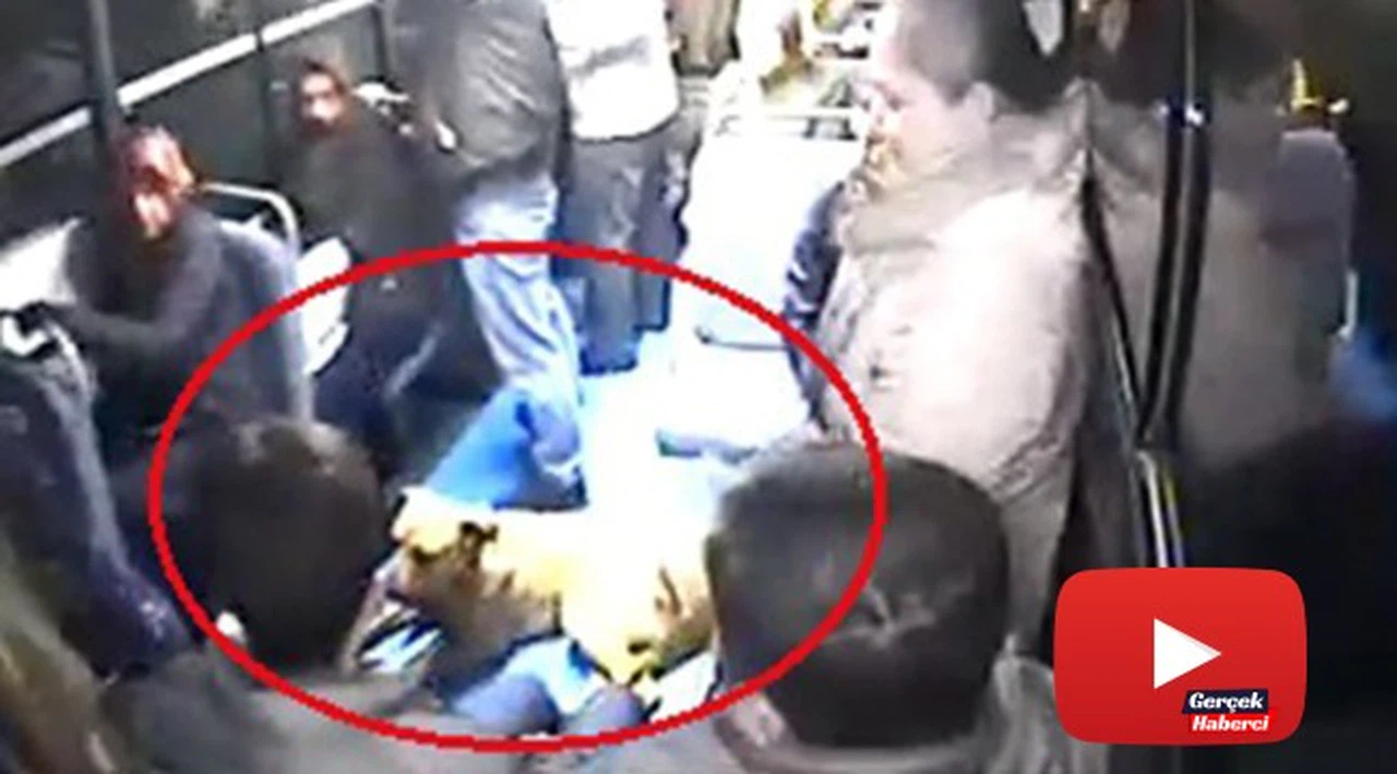 Halk otobüsüne binen köpeği gören vatandaşlar büyük panik yaşadı