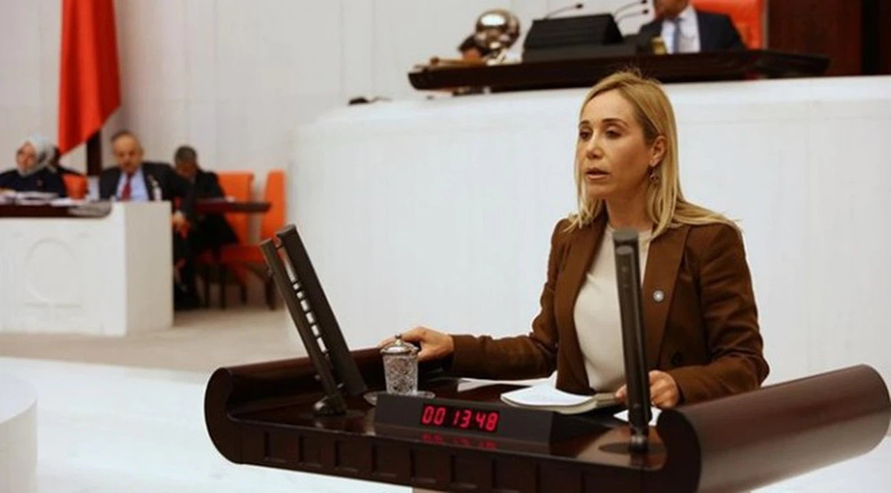 İYİ Parti'den istifa eden Tuba Vural Çokal, AK Parti'ye geçti