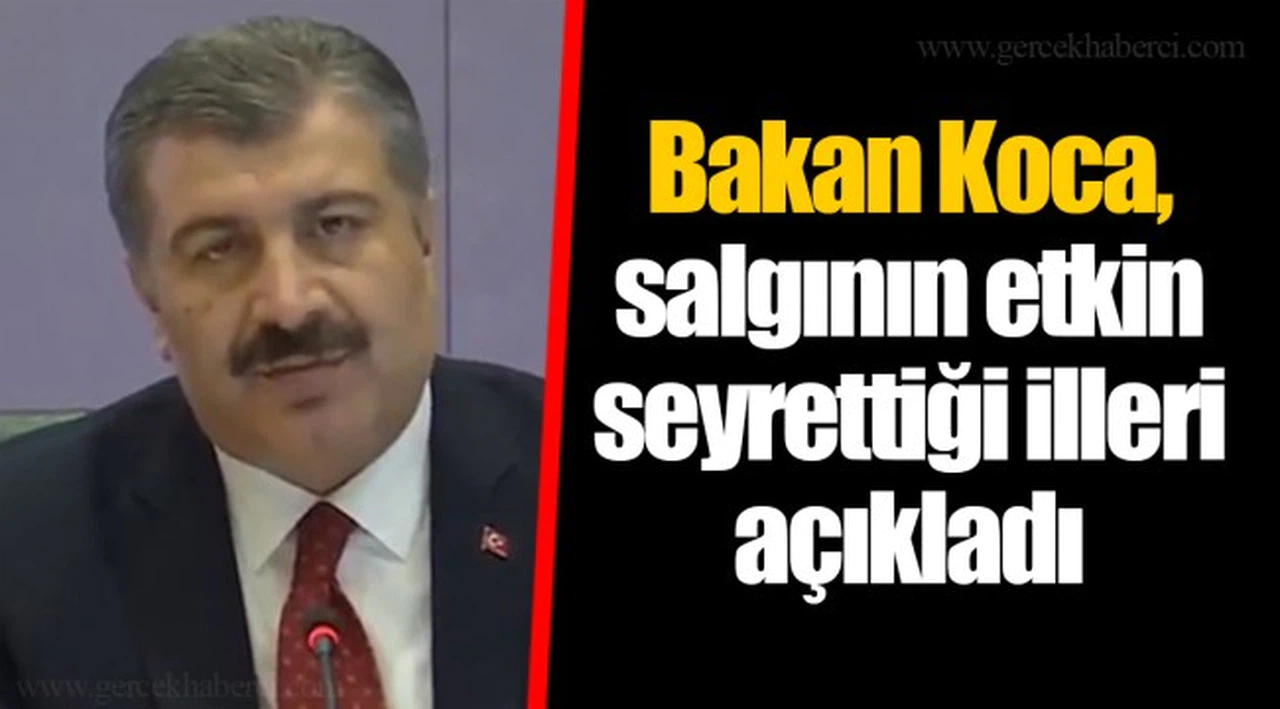 Bakan Koca, salgının etkin seyrettiği illeri açıkladı
