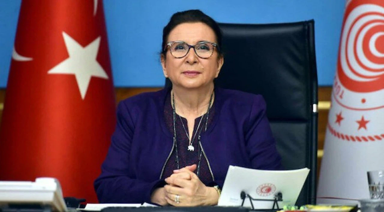 Bakan Pekcan: Temassız ticaretle tır ve vagon geçişleri arttı