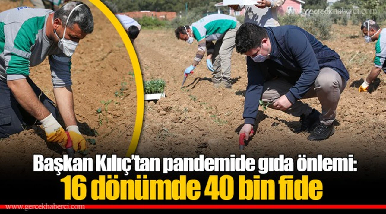   Başkan Kılıç’tan pandemide gıda önlemi: 16 dönümde 40 bin fide