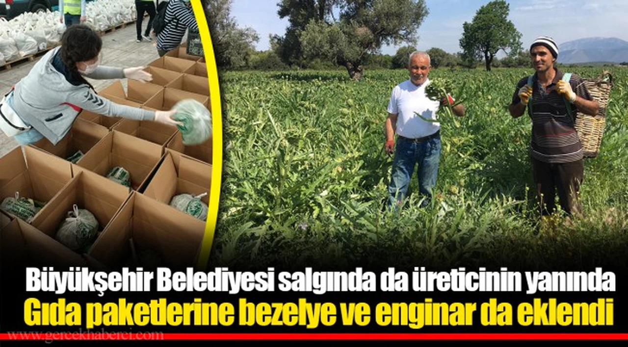  Büyükşehir Belediyesi salgında da üreticinin yanında