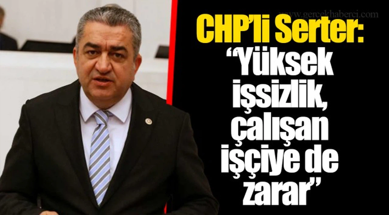 CHP’li Serter:  “Yüksek işsizlik, çalışan işçiye de zarar”