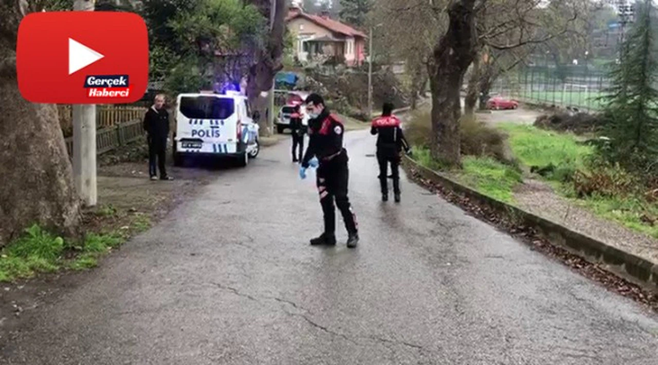 Devriye görevi atan polis ekipleri vatandaşlara moral için oyun havası çaldı