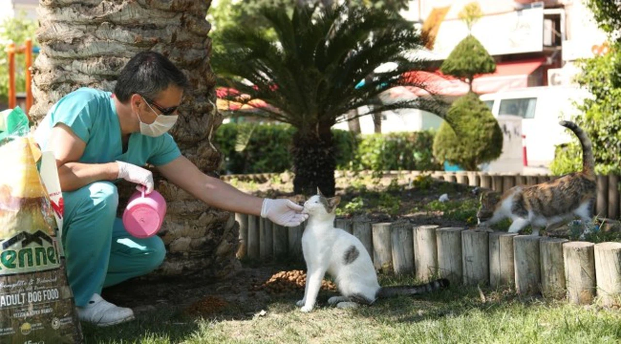 Konak’ta Can dostlara özel hizmet