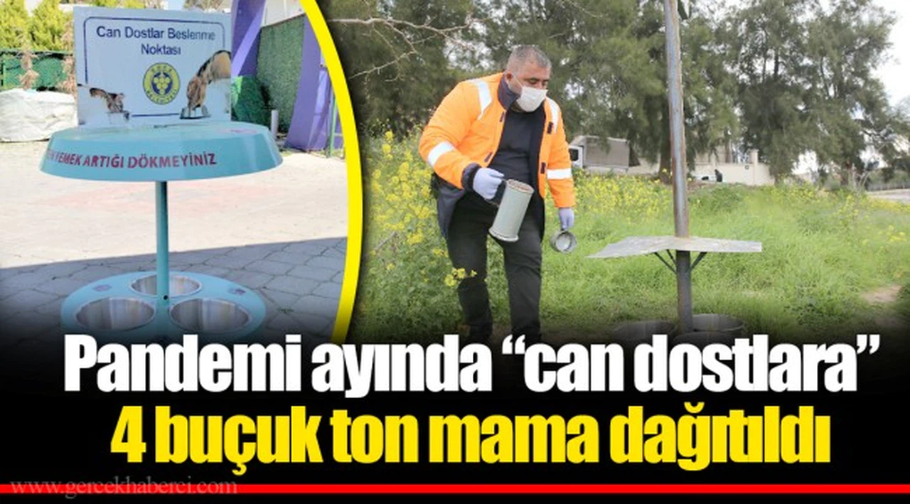 Pandemi ayında “can dostlara” 4 buçuk ton mama dağıtıldı 