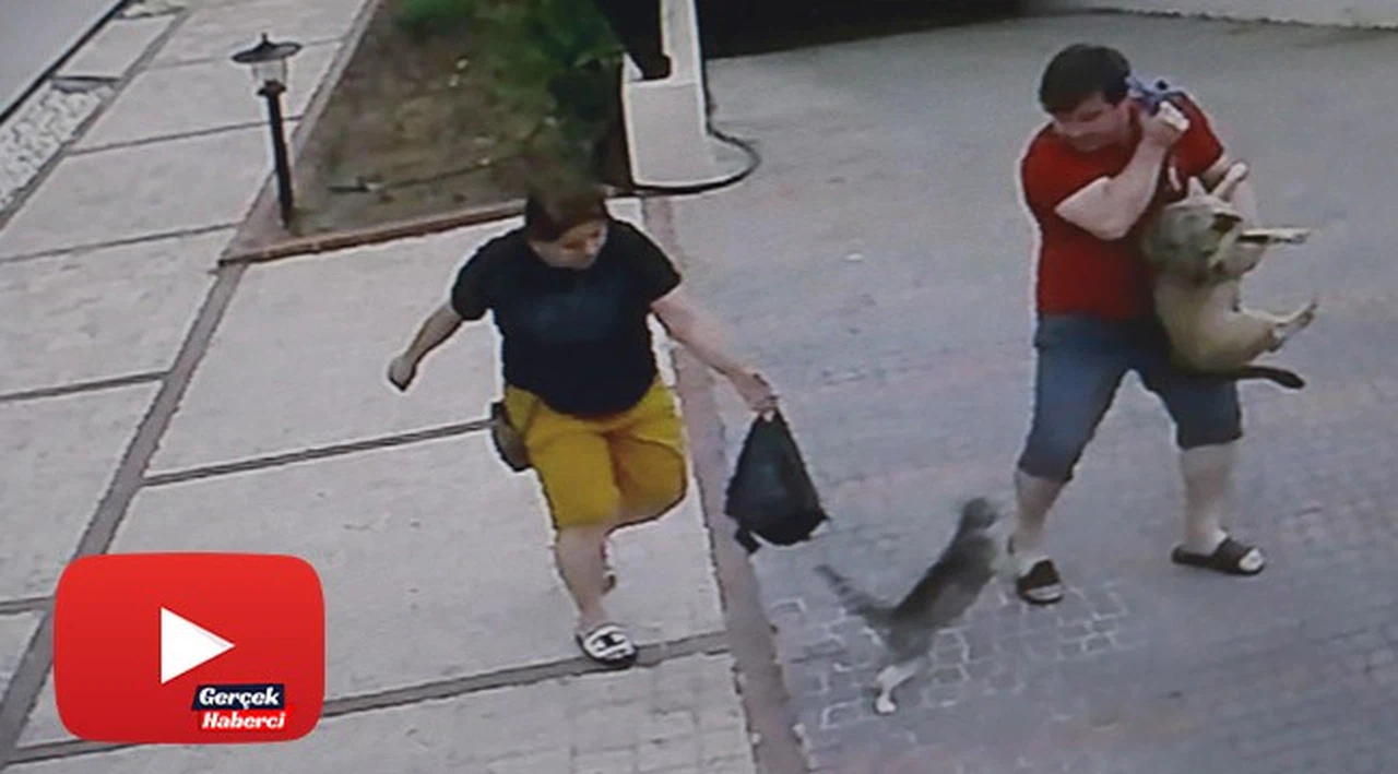 Bir anda ortaya çıktı, köpekli çifte dünyayı dar etti
