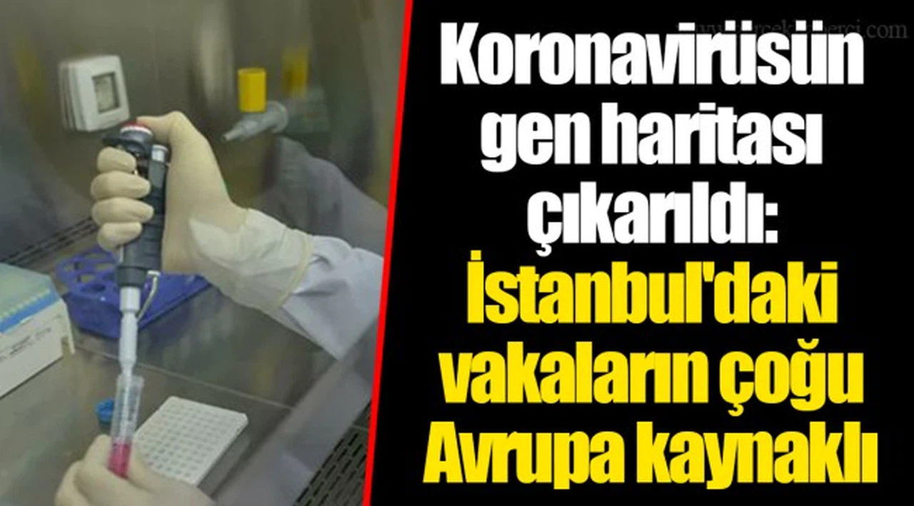Koronavirüsün gen haritası çıkarıldı: İstanbul'daki vakaların çoğu Avrupa kaynaklı