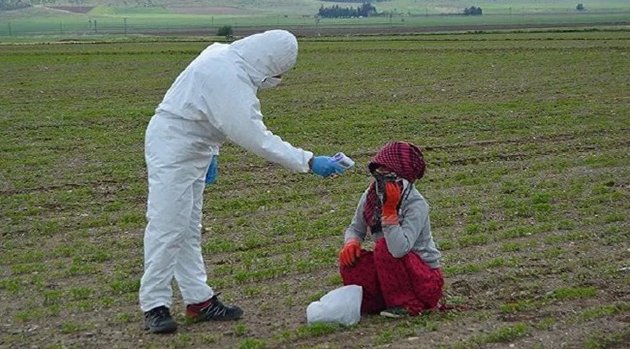 Sağlık Bakanlığı'ndan mevsimlik tarım işçilerine yönelik Kovid-19 tedbirleri