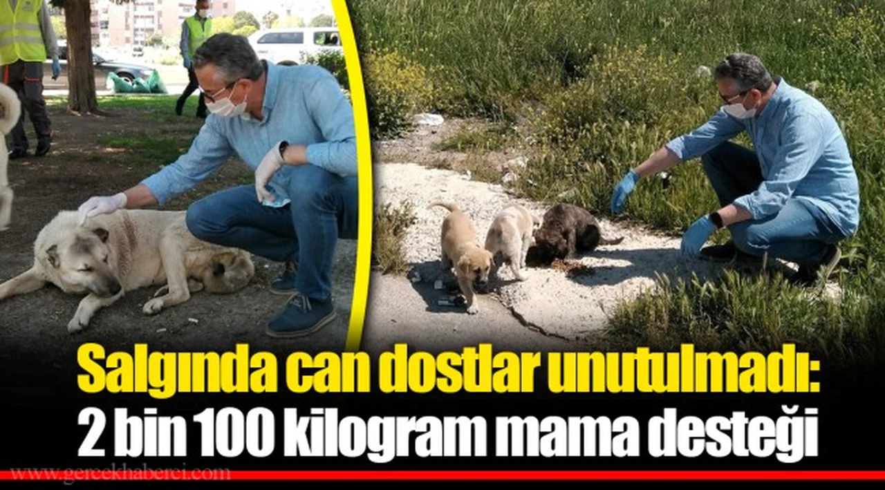 Salgında can dostlar unutulmadı: 2 bin 100 kilogram mama desteği