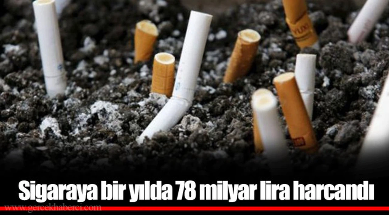Sigaraya bir yılda 78 milyar lira harcandı