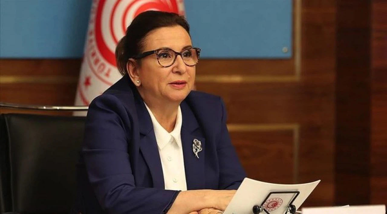 Ticaret Bakanı Pekcan: Esnaf ve sanatkarımız kaldığı yerden devam edecek