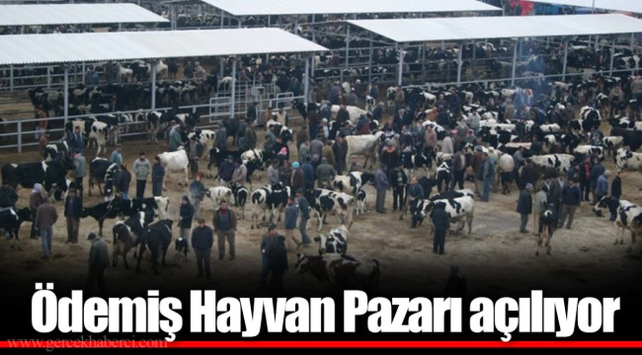 Ödemiş Hayvan Pazarı açılıyor