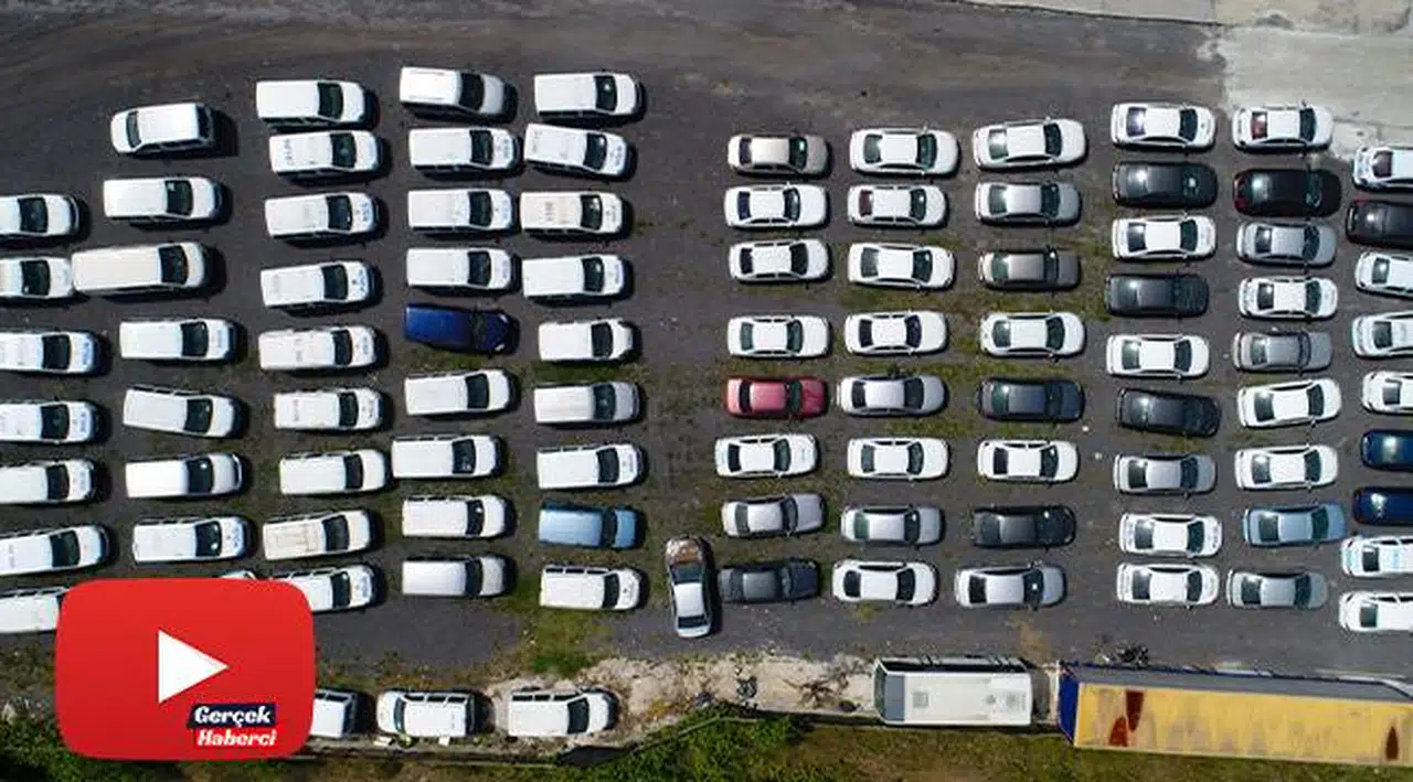 Servet değerindeki otomobiller çürümeye terk edildi