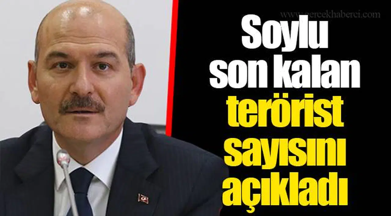 Soylu son kalan terörist sayısını açıkladı