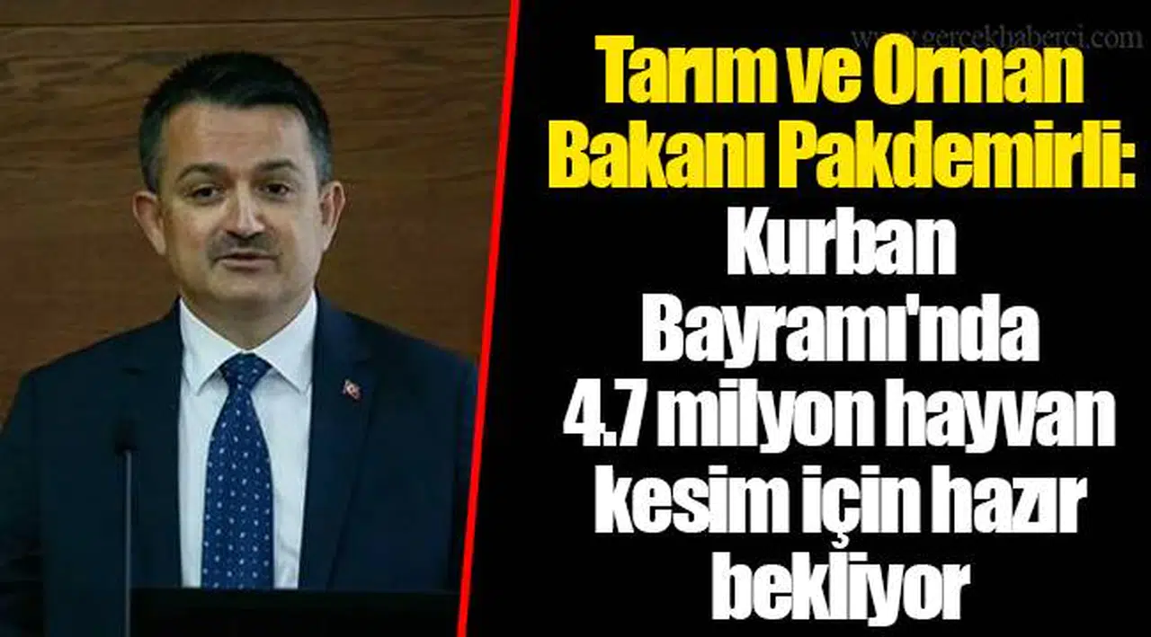 Tarım ve Orman Bakanı Pakdemirli: Kurban Bayramı'nda 4.7 milyon hayvan kesim için hazır bekliyor