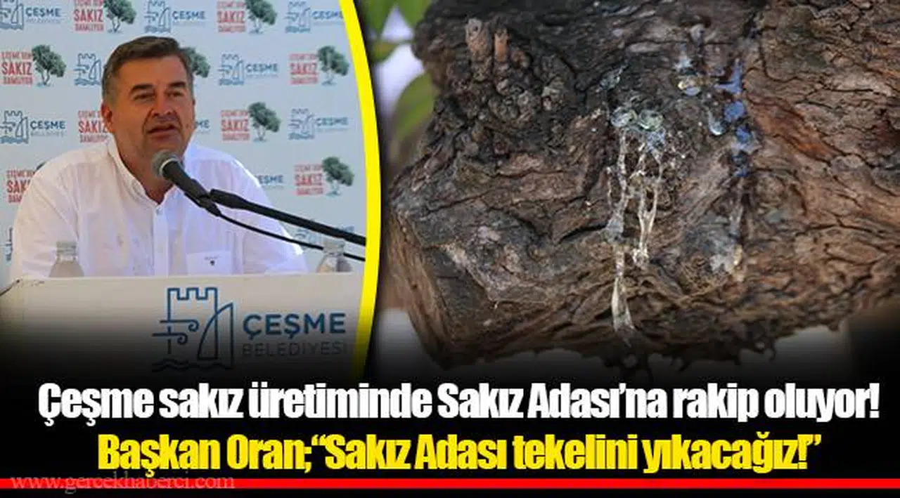 Çeşme sakız üretiminde Sakız Adası’na rakip oluyor!
