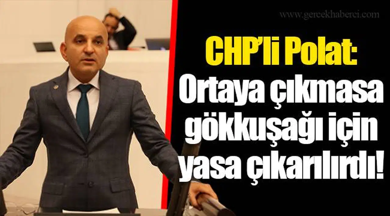CHP’li Polat: Ortaya çıkmasa gökkuşağı için yasa çıkarılırdı!