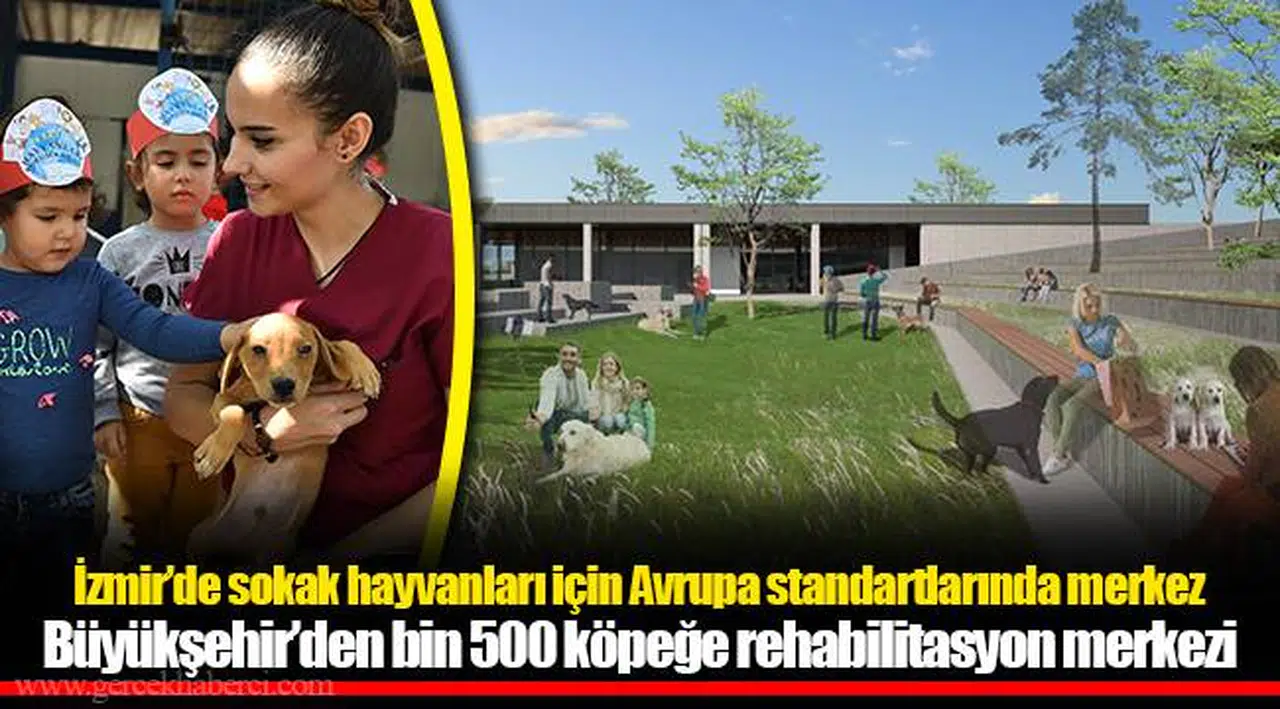 İzmir’de sokak hayvanları için Avrupa standartlarında merkez
