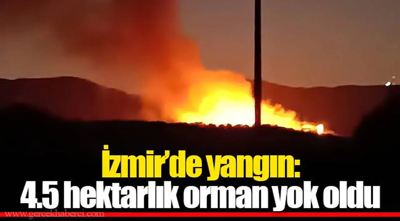 İzmir’de yangın: 4.5 hektarlık orman yok oldu