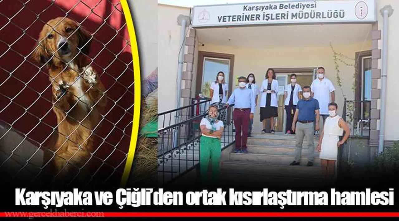 Karşıyaka ve Çiğli’den ortak kısırlaştırma hamlesi