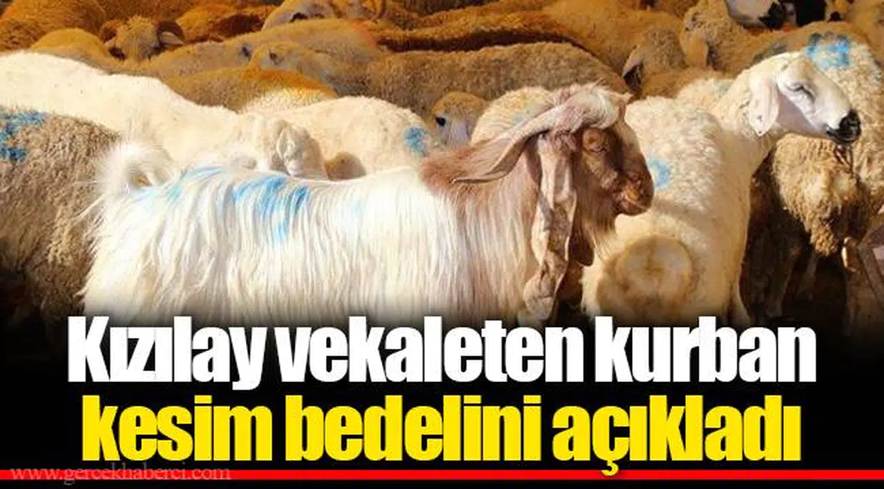Kızılay vekaleten kurban kesim bedelini açıkladı