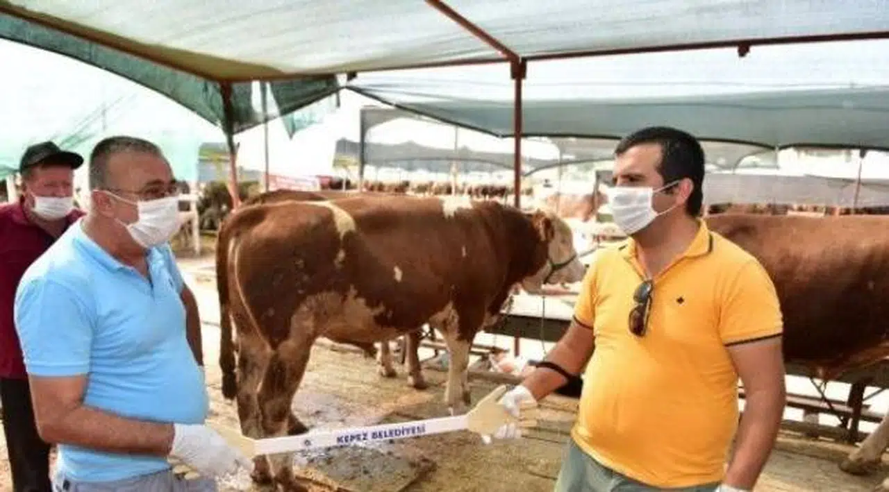Kurban pazarlarına özel 'Pazarlık kiti'