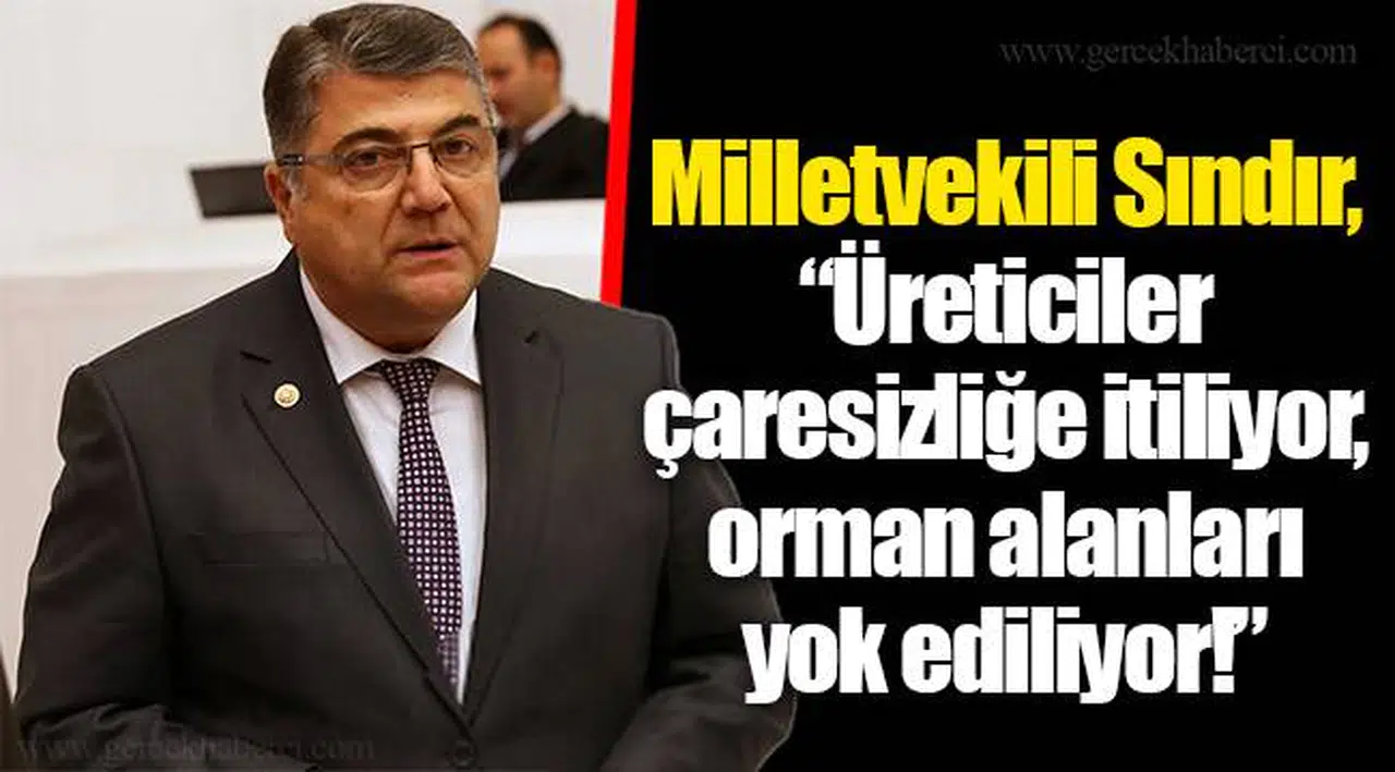 Milletvekili Sındır, “üreticiler çaresizliğe itiliyor, orman alanları yok ediliyor!”