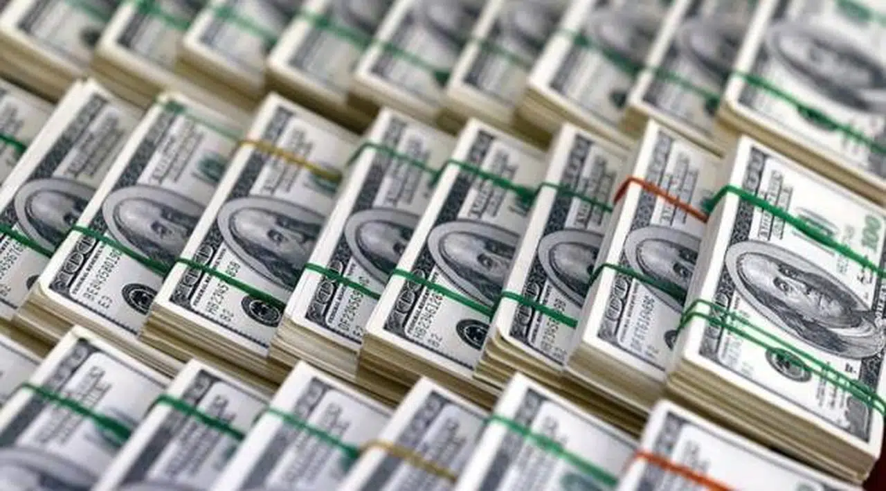 Paylan'dan soru önergesi: Dolar 6.86'ya demir attı; yoksa dalgalı kuru bırakıp sabit kura mı geçtiniz?