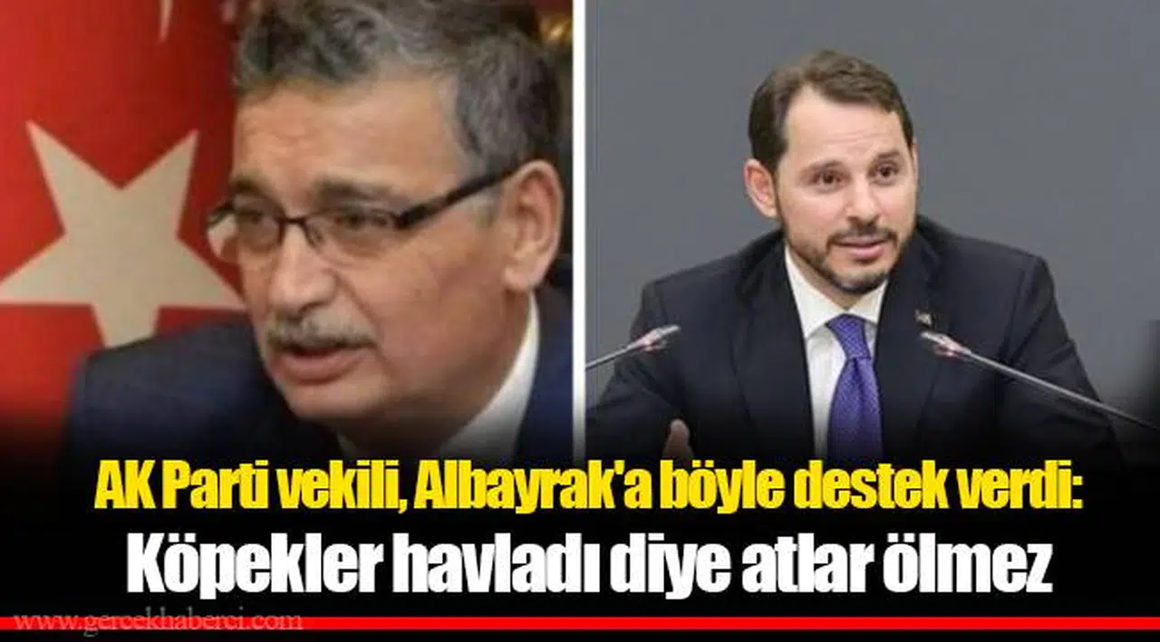 AK Parti vekili, Albayrak'a böyle destek verdi: Köpekler havladı diye atlar ölmez