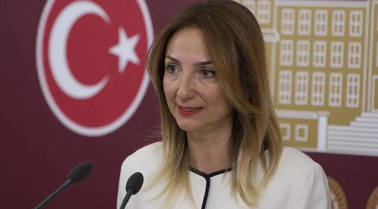 Aylin Nazlıaka'nın İstanbul Sözleşmesi açıklamasına suç duyurusu