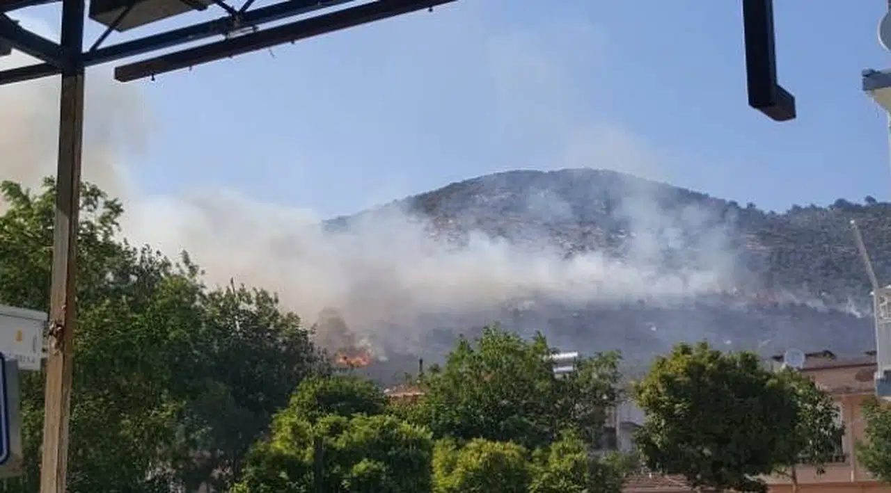Evde çıkan yangın zeytinliğe sıçradı