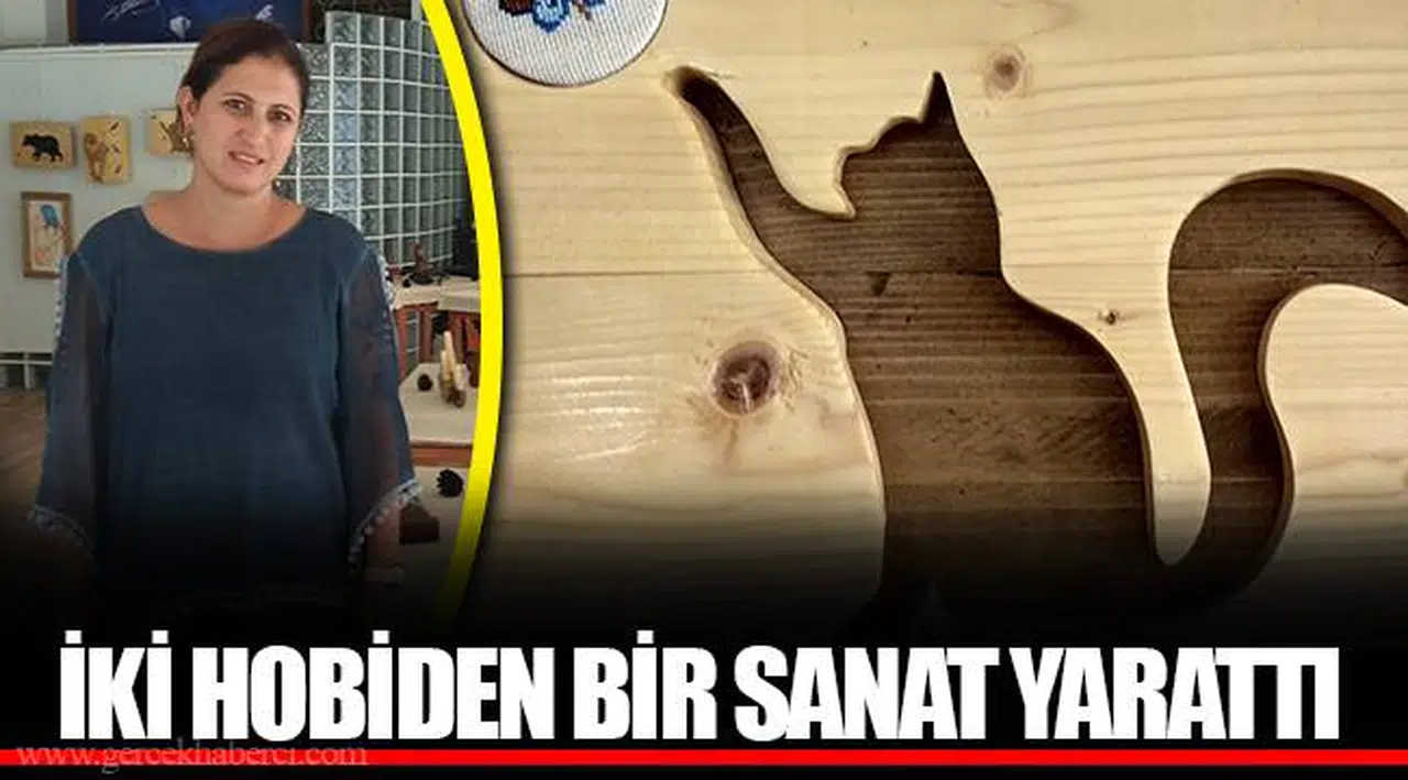 İKİ HOBİDEN BİR SANAT YARATTI