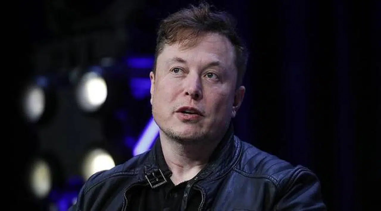 Musk, beynine çip yerleştirilen domuzları tanıttı