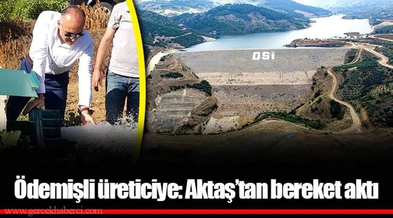 Ödemişli üreticiye : Aktaş’tan bereket aktı