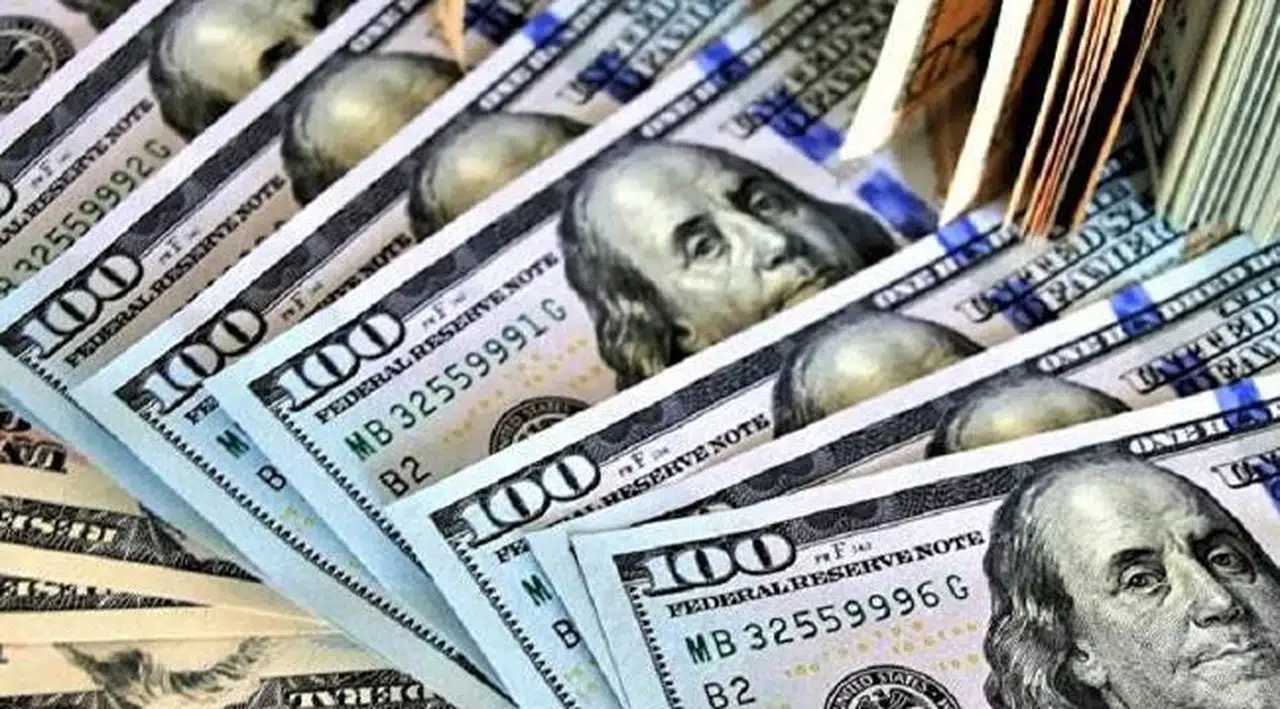 Vatandaşların döviz hesapları 220 milyar dolara dayandı